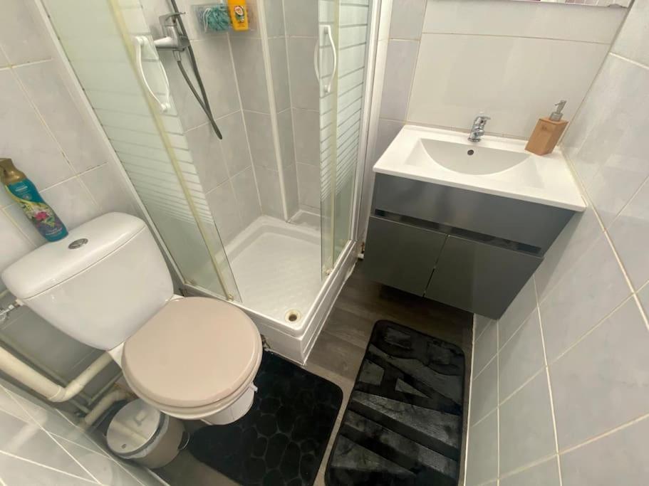 Appartement Cosy Alfortville